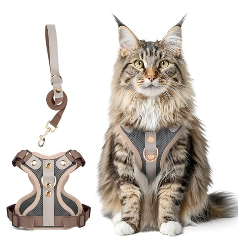Ausbruchsicheres Katzen Geschirr & Leine Set, Verstellbares Reflektierendes Geschirr mit Atmungsaktivem Mesh und Hochwertigem Leder für Katzen & Kätzchen (Dunkelgrau, S)