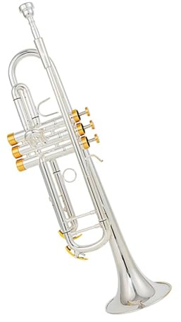 Trompete für Anfänger B-Dreiton-Trompete Leistungsprüfung Profi-Band Versilbert