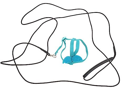 BESPORTBLE 4stücke Einstellbares Papageiengeschirr Aus Leichtem Material Praktisches Training Für Vögel Elastische Leine Für Sicheren Flug Für Sittiche Und Papageien Langlebig Und Bequem