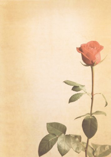 Motiv Briefpapier (Rose-5018, DIN A4, 100 Blatt). Einseitig bedrucktes Briefpapier, sehr gut beschreibbar, Motivpapier für alle Drucker/Kopierer geeignet