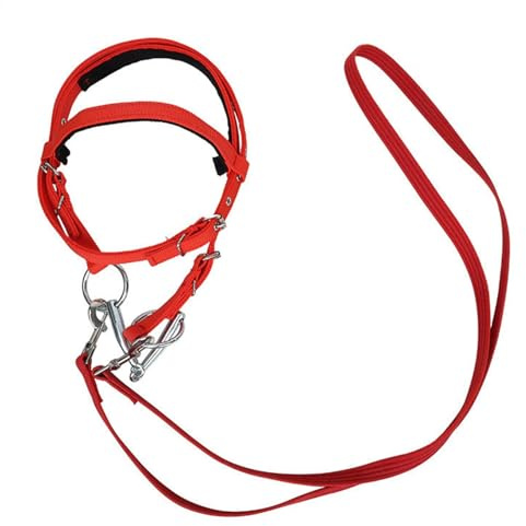 Clapier en nylon pour le nivellement et les rênes – Corde réglable tressée rênes cassantes | Faisceau de câbles – Bridle animal de sécurité pour une conduite stable et des approvisionnements