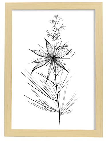 Nacnic Stern von Bethlehem 2 Poster im nordischen Stil. Botanik Illustrationen mit Blumen und Pflanzen in Schwarz und Weiß. Innenarchitektur und Dekoration. A4 Holzrahmen.