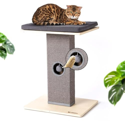 KRAUS MAGAZIN Kratzbaum klein Grau | Sisal Kratzbaum Katze [interaktiv] | Katzenliege aus Leinen | Katzenbaum Grosse Katzen | Stabil & Modern aus Natur-Holz | Kratzsäule | Kratzstamm