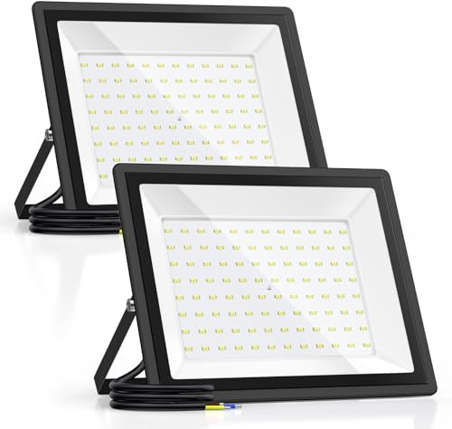 Viuisie 100W Faretti LED Esterno, 11000LM, 6500K, IP66 Impermeabile, Proiettore Bianco Fresco, Riflettore Ultra Luminoso, Ideale Per Cortili, Giardini, Cantieri e Parcheggi（100W2P）