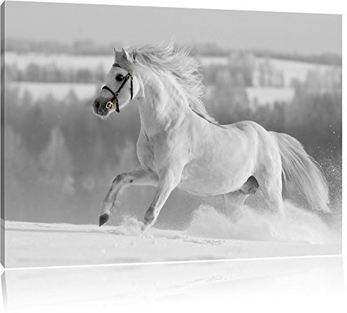 Pixxprint Wunderschönes weißes Pferd auf Schneewiese B&W, Größe: 60x40cm, Leinwandbild, fertig gespannt, Wandbild, Dekoration, Kunstdruck, kein Poster