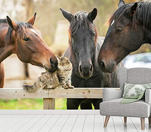 Vlies Tapete XXL Poster Fototapete Pferde Katzen Freunde Farbe color, Größe 300 x 220 cm
