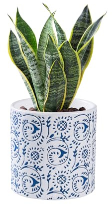 SANDYBAYTAS Keramik-Blumentopf für Zimmerpflanzen, 11,9 cm, Blau & Weiß, florales Porzellan, Keramik, dekorativer Blumentopf mit Drainagelöchern, moderner Übertopf für Zuhause und Büro