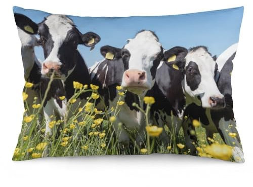 Kissenbezüge, 75 x 50 cm, schwarz-weiße Kühe nähern sich gelben Blumen, Stuhlkissen, Sofakissen, Sitzkissenbezüge, Bett-Kissenbezüge
