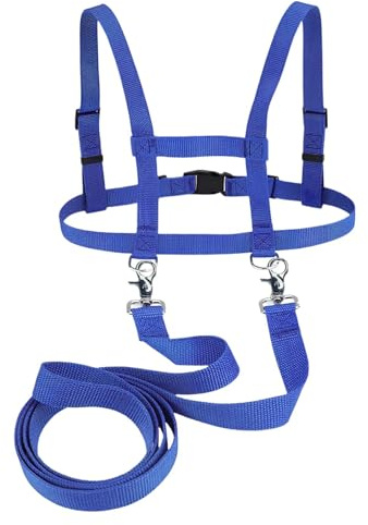 Eclove Giocattolo a Forma di Redini per Cavalli, Giocattolo Equestre per Bambini, Imbracatura di Sicurezza per Bambini, Misura Regolabile, Adatta al Gioco e Favorisce le Capacità Motorie (blu)