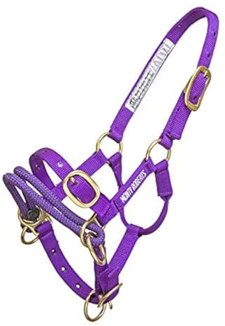 Monty Roberts Offizielles Dually-Trainingshalter, Mini-Pferd (mit DVD)