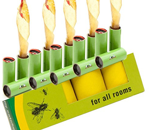 all-around24 Fliegenfänger 16-er, Insektenfänger,Fliegenfalle leimrollen Indoor Rollen Fliegen klebefalle fliegenstreifen