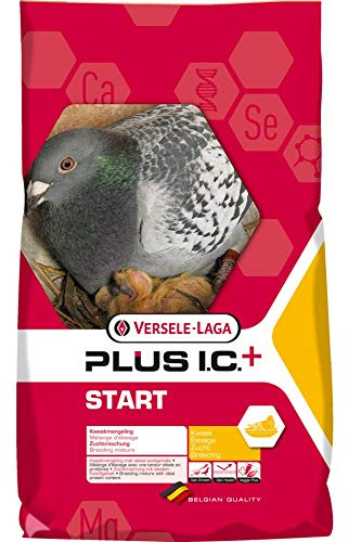 Versele Start Plus Pigeon Breeding Feed 20 kg