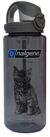 Nalgene Atlantis Flasche
