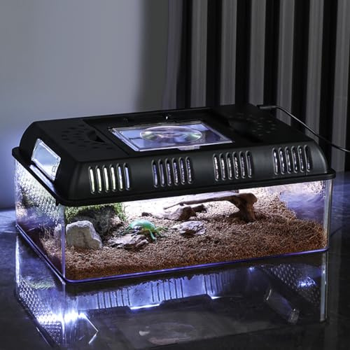 Caja Transporte Reptiles Diseño de Luz Incorporada - Portátil Caja de Alimentación de Reptiles y Anfibios 31,5 x 22 x 12,5 cm - Terrario de Plástico Transparente