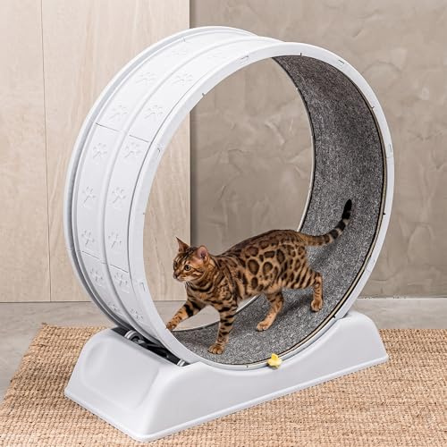 Cat Exercise Wheel ABS Running Wheel Removable Mat 79cm For Indoor Cats | Soft Fabric Lining Gentle Paw Protection Stable Base Design Easy Maintenance Removable Mat Indoor Pet Activity Gift Choice