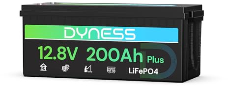Dyness 12V 200Ah LiFePO4 Lithium Batterie mit 200A BMS und Tieftemperaturschutz, 2560Wh Lithium Marine und Wohnmobilbatterie, ideal für Solaranlagen, Wohnwagen und netzunabhängige Anwendungen