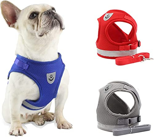DARENYI Small Dog Harness and Lead Adjustable Dog Harnesses (Size L, Red) | Small Dog Harness and Lead Set, Light Soft, Breathable Air Mesh, Reflective Strip Design for Walking, Running, Training