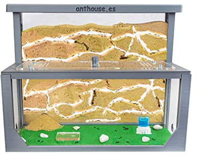 AntHouse - Natürliche Ameisenfarm aus Sand 3D | Modell L (Sandwich + Futterbox) Grau | Ant Farm | Inklusive Ameisenkolonie