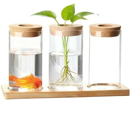 Yumzxin Plant Propagation Station, 3 Pcs Glass Terrarium with Wooden Stand & Lid, Hydroponic Water Planter Vase for Desktop Office Home Decor