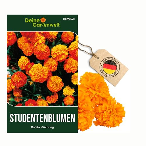 Studentenblumen Bonita Mischung Samen - Tagetes patula - Studentenblumensamen - Blumensamen - Saatgut für 50 Pflanzen – 3er Pack