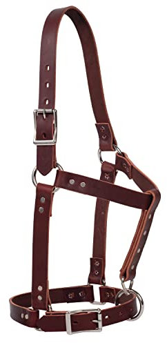 Weaver Leather Unisex-Erwachsene 2,5 cm genietetes Pferd HLTR, BU Lederhalfter, burgunderfarben, Average Horse