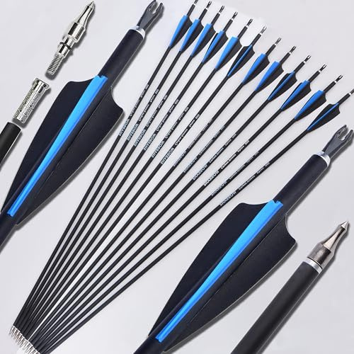 AMEYXGS 12 Stück Pfeile für Bogenschießen, Mixed Carbon Arrows 31 Zoll Zielpfeile Spine 500 mit Ersetzen Pfeilspitzen für Recurvebogen Compoundbogen Langbogen (Blauer Pfeil)