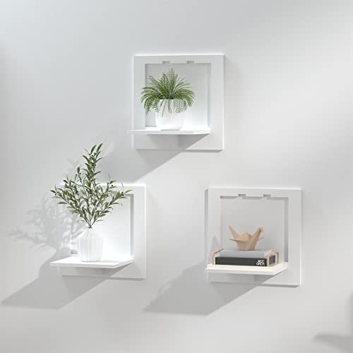 LEcylankEr Set di 3 mensole da Parete in PVC, 29 x 29 x 18 cm, pratiche e Decorative, per cameretta dei Bambini, Bagno, Soggiorno, Camera da Letto, ECC.