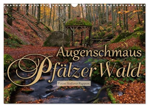 Augenschmaus Pfälzer Wald (Wandkalender 2026 DIN A3 quer), CALVENDO Monatskalender: Eine Bildreise durch die Jahreszeiten des Pfälzer Walds (CALVENDO Natur)