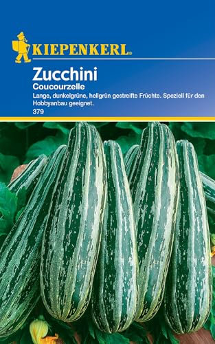 Kiepenkerl Zucchinisamen Coucourzelle 379 - Lange, dunkelgrüne, hellgrün gestreifte Früchte - für Hobbyanbau geeignet - Gemüsesamen, Saatgut, Gemüsepflanzen