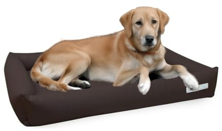 dogsfavorite, Hundebett Starter aus Kunstleder, Hundekissen, Pflegeleicht, 120 x 90 cm, Mocca