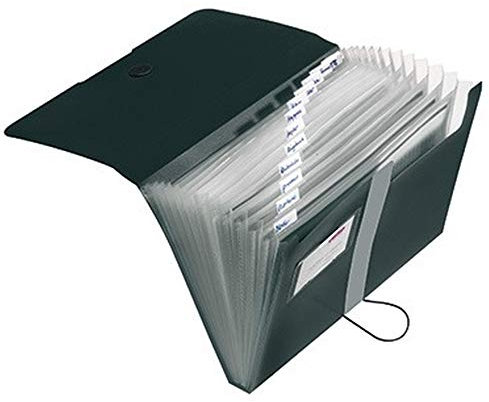 Herlitz Fächermappe easy orga to go 11208394 DIN A4 12Fächer PP schwarz
