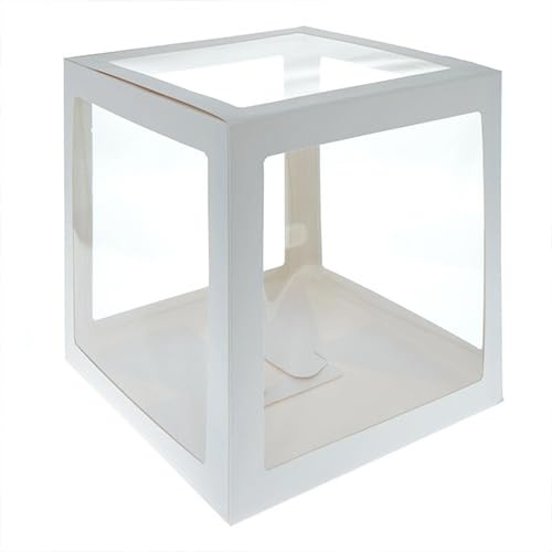 White See Through Balloon Block Decoration