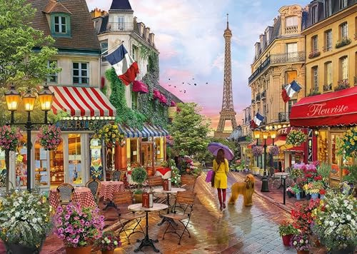 Puzzle für Erwachsene 1000 Teile Paris Straßenblick 70 x 50 cm Puzzles für Erwachsene Pädagogisches Spiel Herausforderung Spielzeug 1000 Teile Puzzles für Erwachsene Kinder
