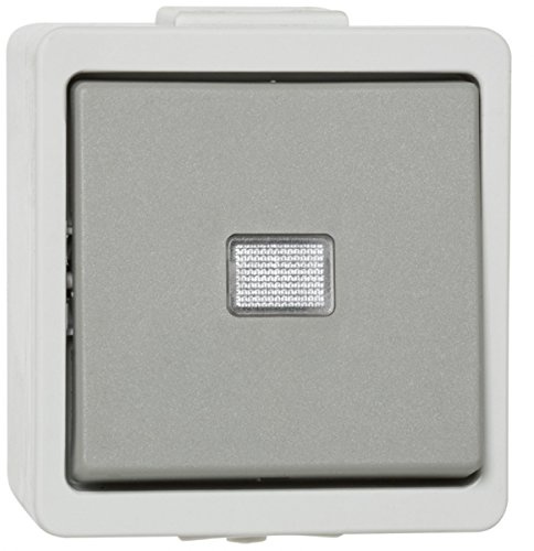 Globe Warehouse Vedder AP/FR Taster, IP44, grau