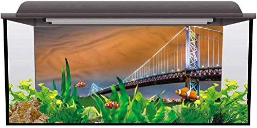 Tubertini Raion LWA Filo Bobina Monofilo Pesca (0,30 mm - 350 mt)