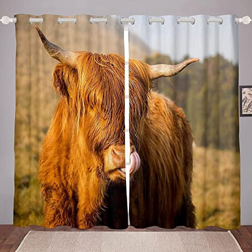 Vorhang Blickdicht Hochlandvieh Vorhänge Tiere Auf Dem Bauernhof Gardinen Wohnzimmer Schlafzimmer Verdunklungsvorhänge Thermovorhang 3D Druck Schallschutz Vorhang mit Ösen 2er set B 132 x H 240 cm