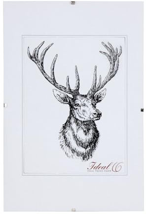 IDEAL TREND RX Rahmenlos Bilderrahmen Bildhalter Cliprahmen Fotorahmen Kunststoff Glas: Größe: 40x40