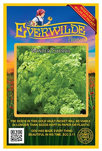 Everwilde Farms - 200 Winter Chervil Herb Seeds - Gold Vault Jumbo Seed Packet