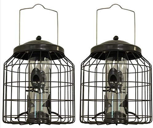 Selections Deluxe Heavy Duty Squirrel Proof Hanging Bird Seed Feeder Cage (Pack of 2)