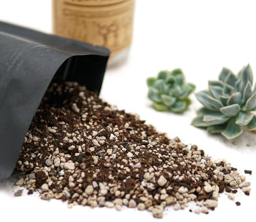 Premium Kakteen und Sukkulentenerde - Vorgemischtes Spezialsubstrat mit Aktivkohle - Natürliche & handverlesene Inhaltsstoffe - 2,5 Liter (50-50 (50% mineralisch - 50% organisch))