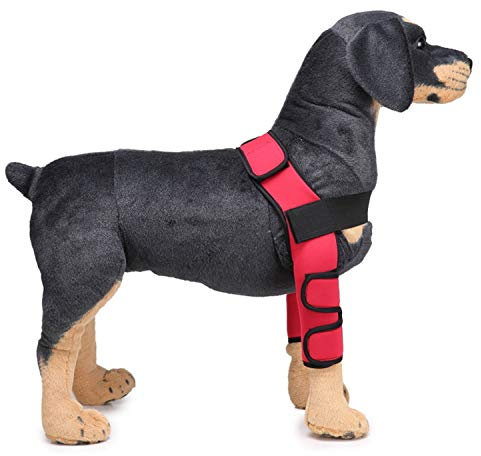 PETCUTE Hunde gelenkschutz Sprunggelenk Wrap Hunde Bandage Gelenkbandage für das Vorderbein ihres Hundes (1 Paar)