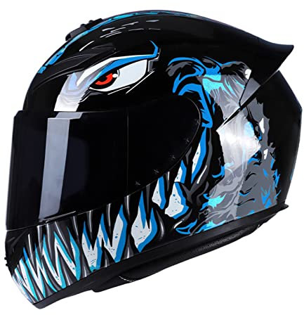 Shkalacar Motorradhelm Herren/Damen FullFace, Mountainbike Helm Unisex, Rapid Street Helm Erwachsene Cool Rider Equipment Four Seasons Motorradhelm