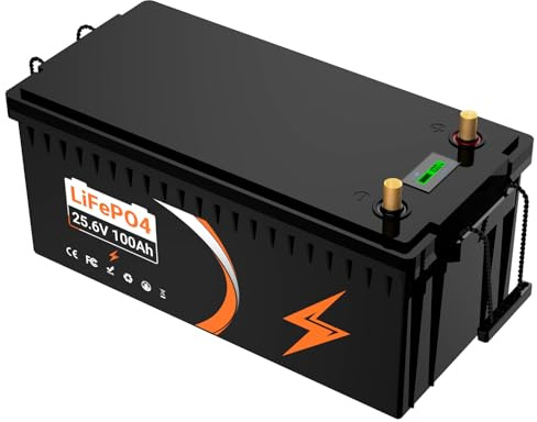 24V 100Ah LiFePO4 Lithium Battery with 100A BMS Rechargeable Battery Up to 4000+ Cycles, Lithium Iron Phosphate for RV,Off-Grid Solar Power System, Home Backup,Marine