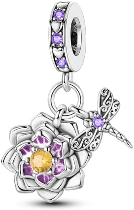 ChenYuTe Charms en Argent 925 pour Bracelets, Pendentifs Compatibles avec les Bracelets Européens Pandora et les Colliers pour Femmes