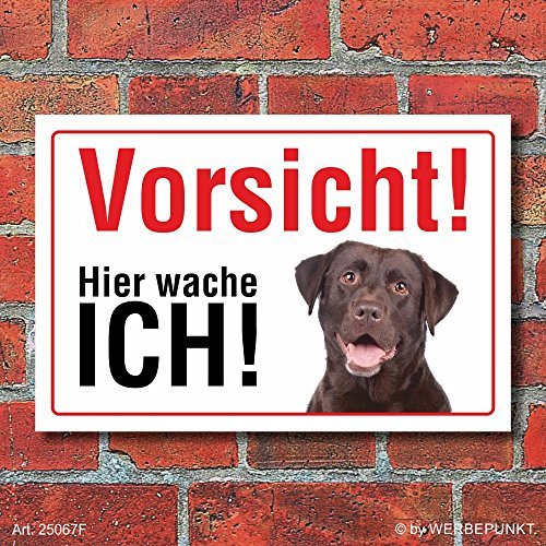 Warnschild Labrador Hier wache ich 300 x 200 mm | 3 mm Alu-Verbund, wetterfester UV-Direktdruck, robust und langlebig, Made in Germany