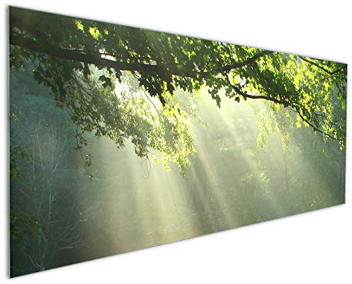 Wallario Küchenrückwand aus Glas 125 x 50 cm, Motiv: Sonnenstrahlen im Wald | Spritzschutz abwischbar & pflegeleicht