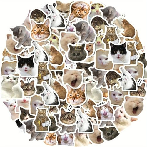 Addein Lustiges Katzen Aufkleber Set, Katzen Meme Sticker, Katzensticker für Skateboard Laptop Koffer Helm Motorrad Auto Fahrrad Handy