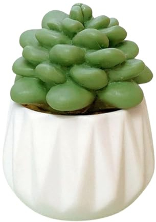 Uqezagpa Figurine de cactus miniature en résine en pot Faux bonsaïs Ornement pour la maison, le bureau, la voiture et le tableau de bord
