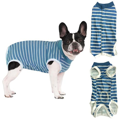 Combinaison chirurgicale pour body chien, body pour chien après stérilisation, combinaison de convalescence pour chien,protection contre les allergies et les plaies (Bleu, M)