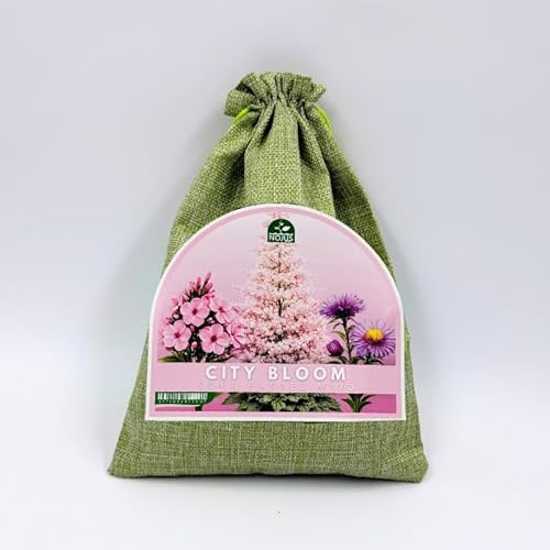 Nojus City Bloom Soft Pastel Mix 3 – Mélange de plantes vivaces (Aster, Astilbe, Phlox) – Fleurs pastel pour jardin mi-ombragé, massifs et bordures – 3 pcs
